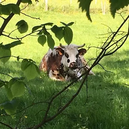 Le Val De Marigny Longues-sur-Mer
