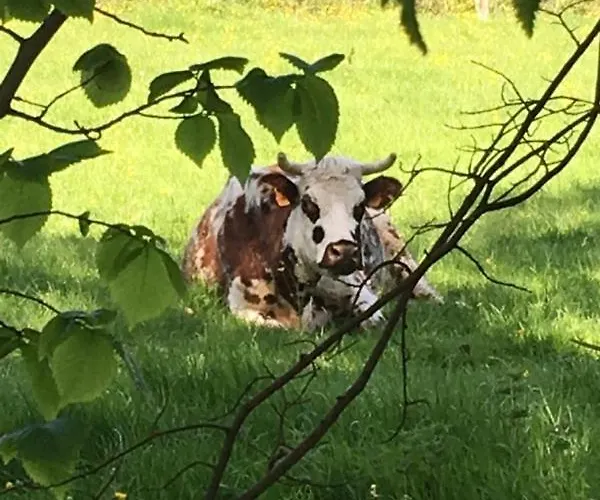 Le Val De Marigny Longues-sur-Mer